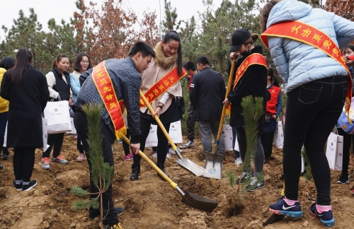 文法系.JPG 文法系.JPG